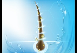 解決當代年輕人脫發(fā)煩惱的透明質酸鈉(下)