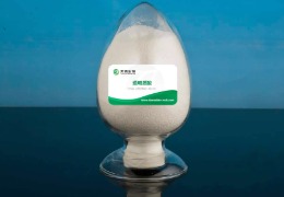 什么是透明質(zhì)酸？