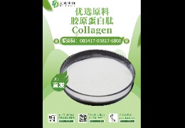 【驚艷一夏】魚(yú)膠原蛋白肽，讓你的肌膚不再年輕一代！