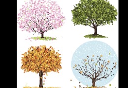 為什么換季皮膚易干燥？