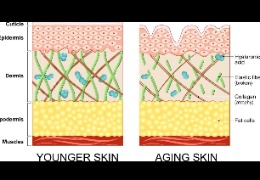 正確選擇精華素，讓你的肌膚更緊致、更年輕