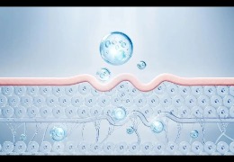 護(hù)膚品滲透和吸收是一回事嗎？