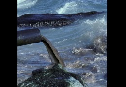 核輻射風(fēng)波，日妝還能用嗎？